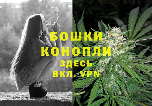 молекула духа Аркадак